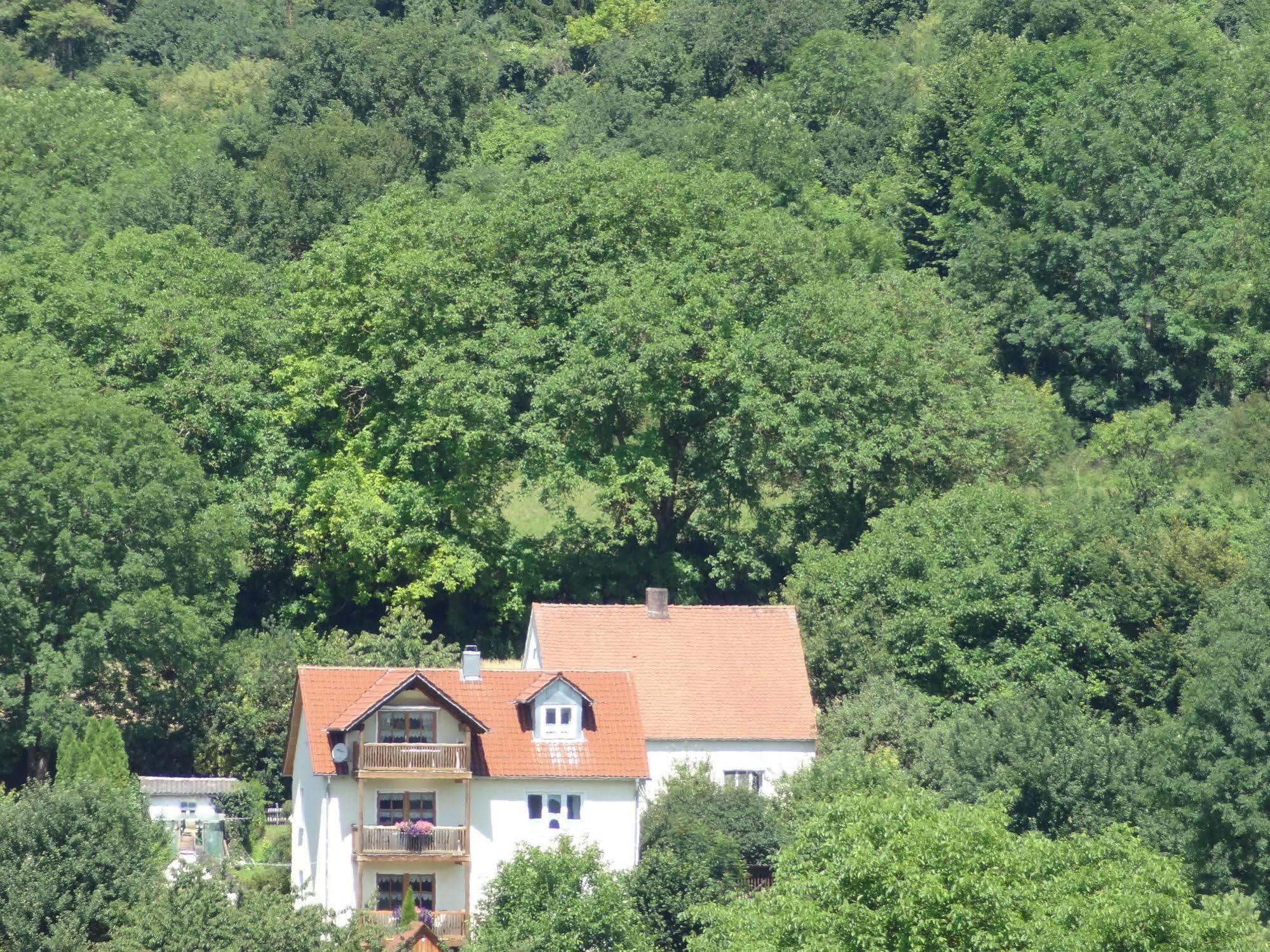 Donauer Im Altmuehltal - Ferienwohnungen Biberbach  Exteriör bild